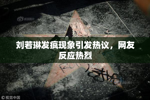 刘若琳发疯现象引发热议，网友反应热烈