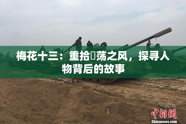 梅花十三：重拾婬荡之风，探寻人物背后的故事
