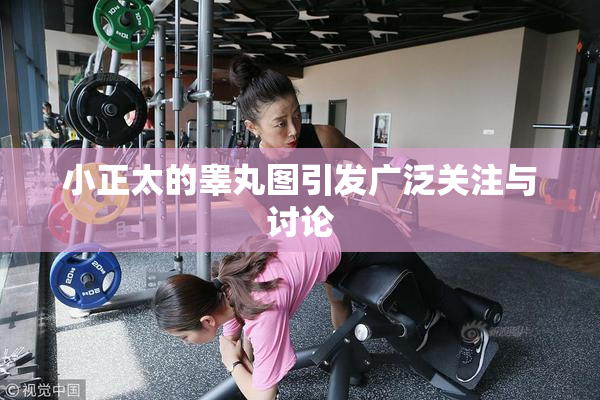 小正太的睾丸图引发广泛关注与讨论
