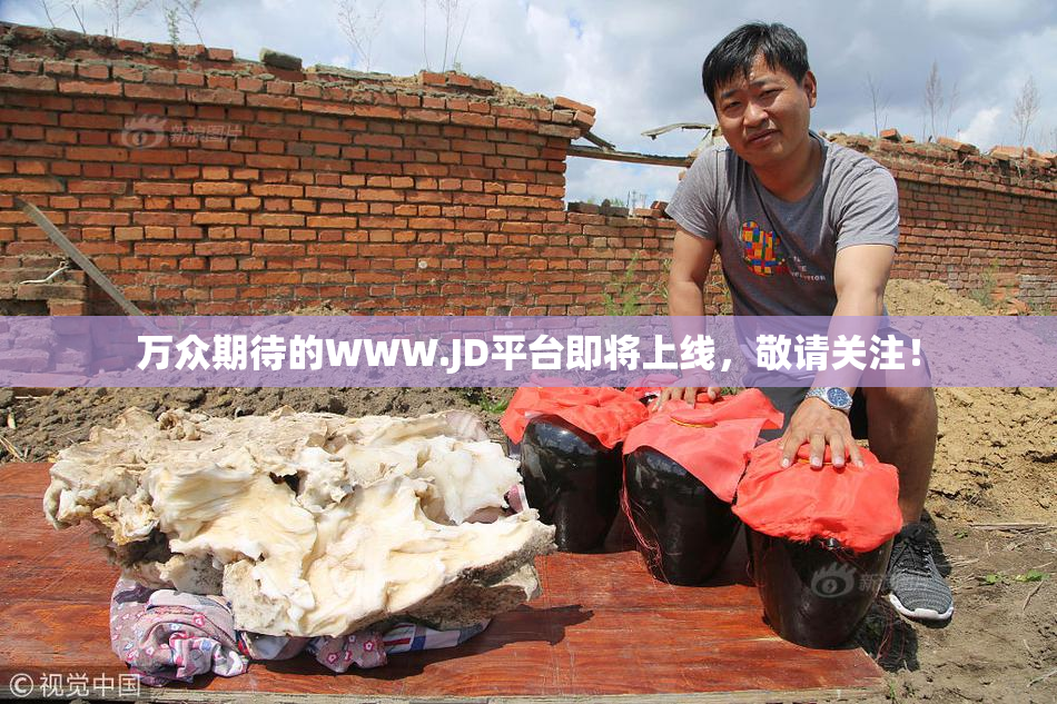 万众期待的WWW.JD平台即将上线，敬请关注！