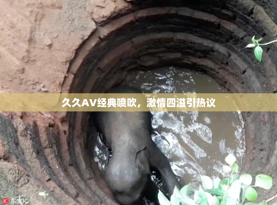 久久AV经典喷吹，激情四溢引热议
