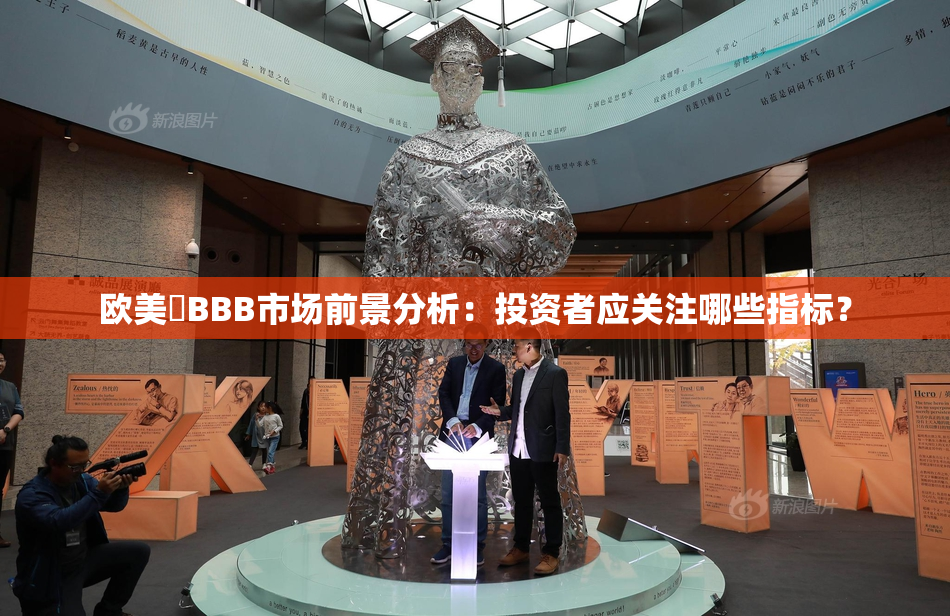 欧美槡BBB市场前景分析：投资者应关注哪些指标？
