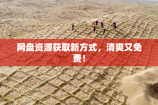 网盘资源获取新方式，清爽又免费！