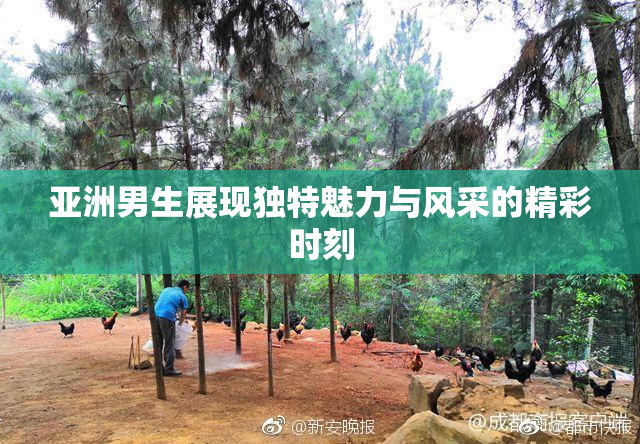 亚洲男生展现独特魅力与风采的精彩时刻