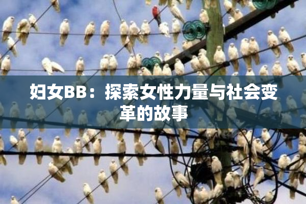 妇女BB：探索女性力量与社会变革的故事