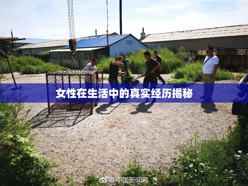 女性在生活中的真实经历揭秘