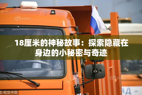 18厘米的神秘故事：探索隐藏在身边的小秘密与奇迹