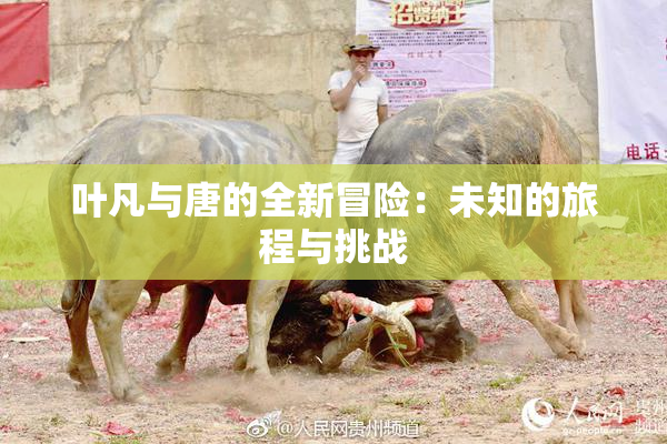 叶凡与唐的全新冒险：未知的旅程与挑战