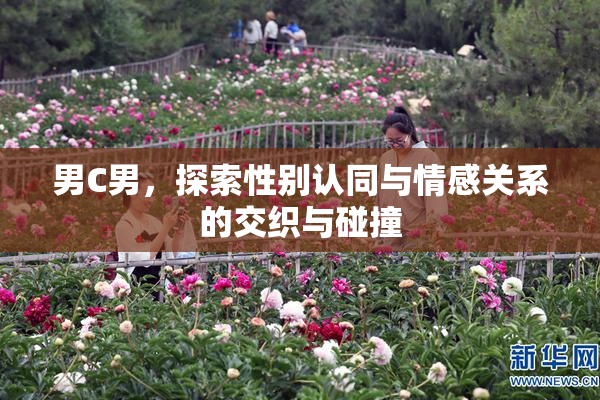 男C男，探索性别认同与情感关系的交织与碰撞