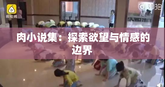 肉小说集：探索欲望与情感的边界
