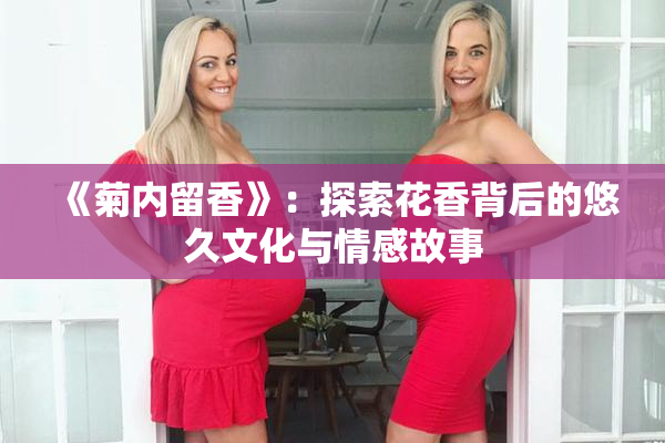 《菊内留香》：探索花香背后的悠久文化与情感故事
