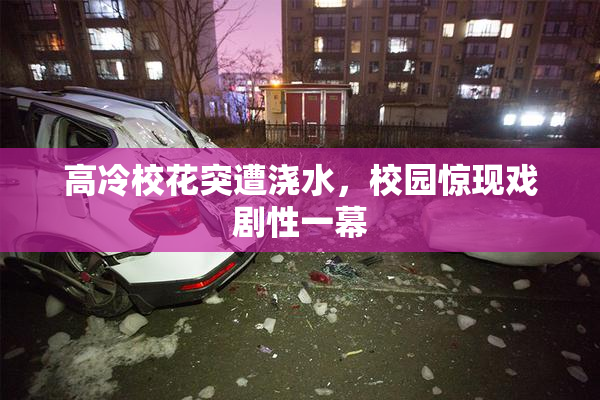 高冷校花突遭浇水，校园惊现戏剧性一幕