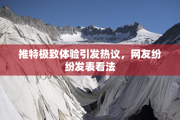 推特极致体验引发热议，网友纷纷发表看法