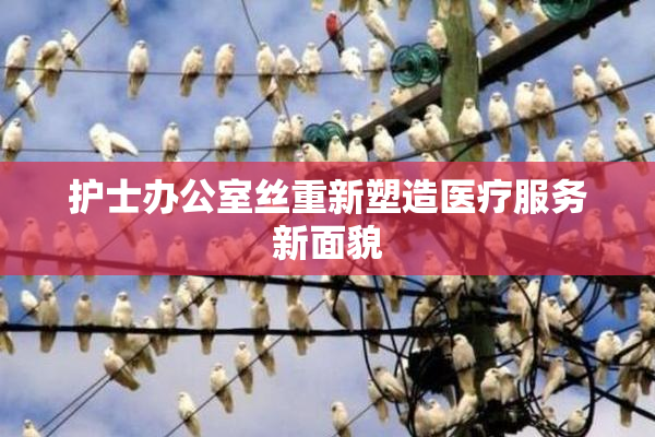 护士办公室丝重新塑造医疗服务新面貌