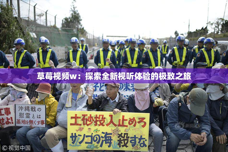 草莓视频w：探索全新视听体验的极致之旅