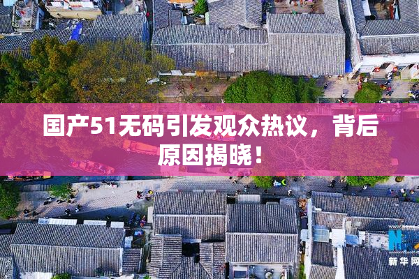 国产51无码引发观众热议，背后原因揭晓！