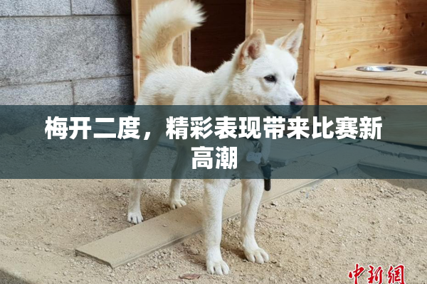 梅开二度，精彩表现带来比赛新高潮