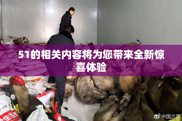 51的相关内容将为您带来全新惊喜体验