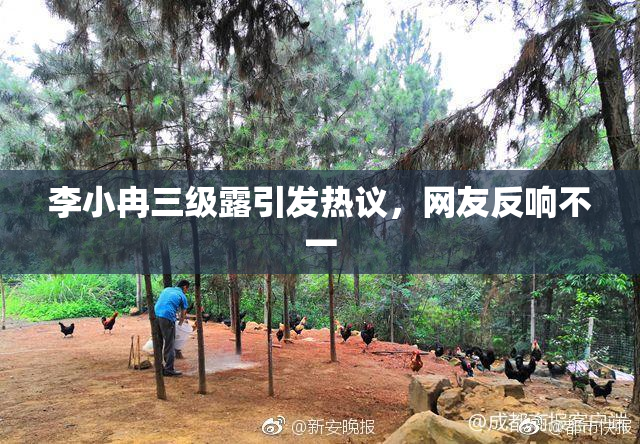 李小冉三级露引发热议，网友反响不一