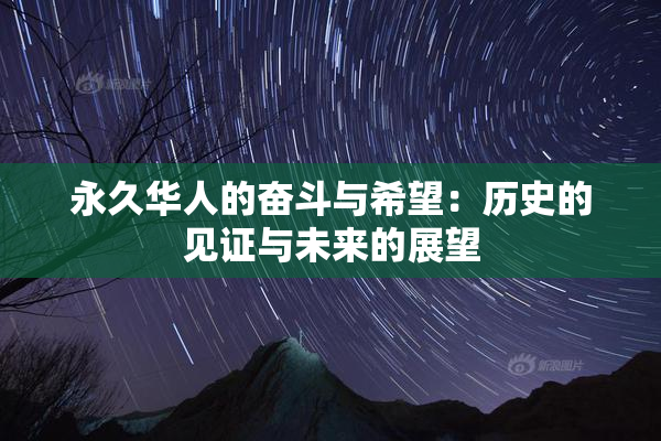 永久华人的奋斗与希望：历史的见证与未来的展望