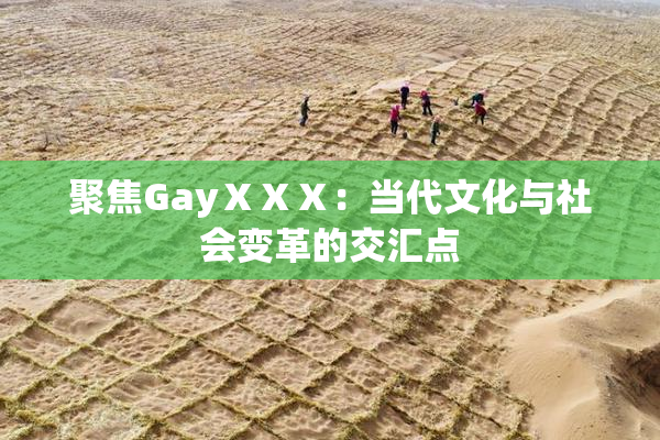 聚焦GayⅩⅩⅩ：当代文化与社会变革的交汇点