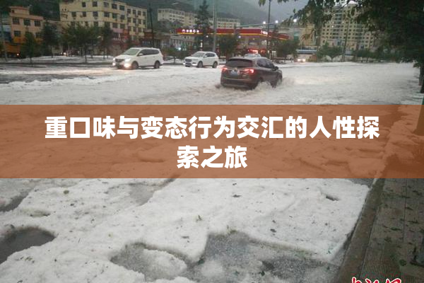 重口味与变态行为交汇的人性探索之旅
