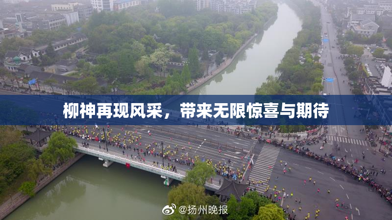 柳神再现风采，带来无限惊喜与期待