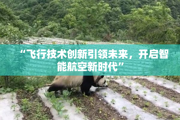 “飞行技术创新引领未来，开启智能航空新时代”