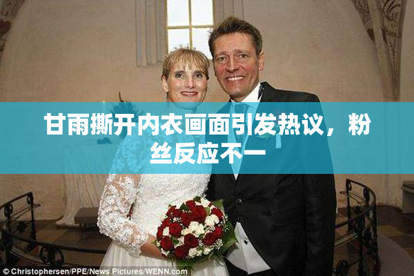 甘雨撕开内衣画面引发热议，粉丝反应不一