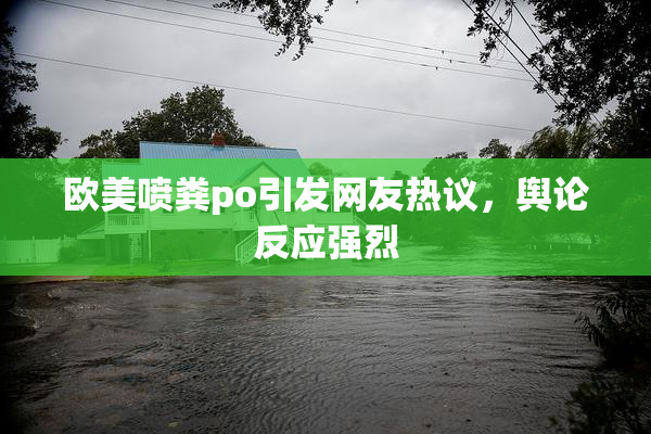 欧美喷粪po引发网友热议，舆论反应强烈