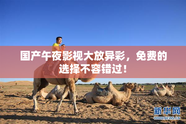 国产午夜影视大放异彩，免费的选择不容错过！