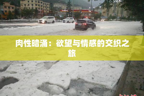 肉性暗涌：欲望与情感的交织之旅