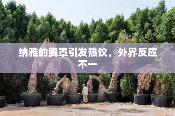 纳雅的胸罩引发热议，外界反应不一