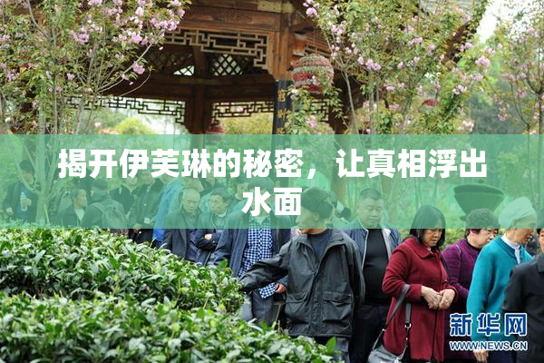 揭开伊芙琳的秘密，让真相浮出水面