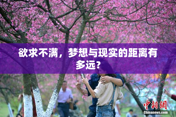 欲求不满，梦想与现实的距离有多远？