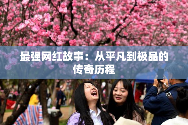 最强网红故事：从平凡到极品的传奇历程