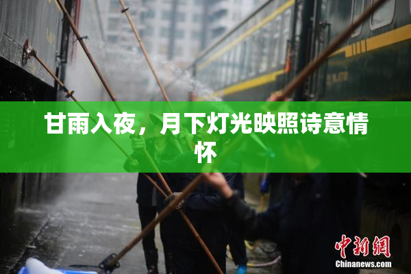 甘雨入夜，月下灯光映照诗意情怀