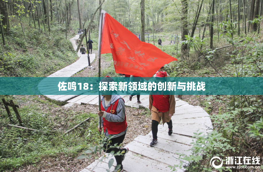 佐鸣18：探索新领域的创新与挑战