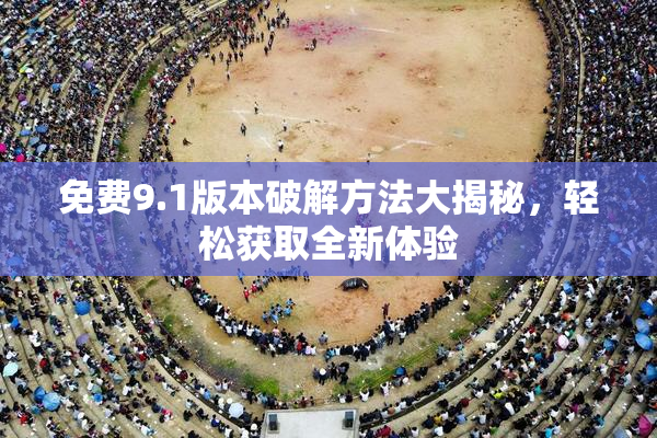 免费9.1版本破解方法大揭秘，轻松获取全新体验