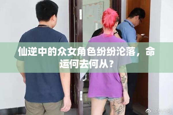 仙逆中的众女角色纷纷沦落，命运何去何从？