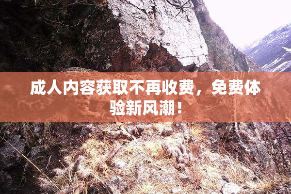 成人内容获取不再收费，免费体验新风潮！