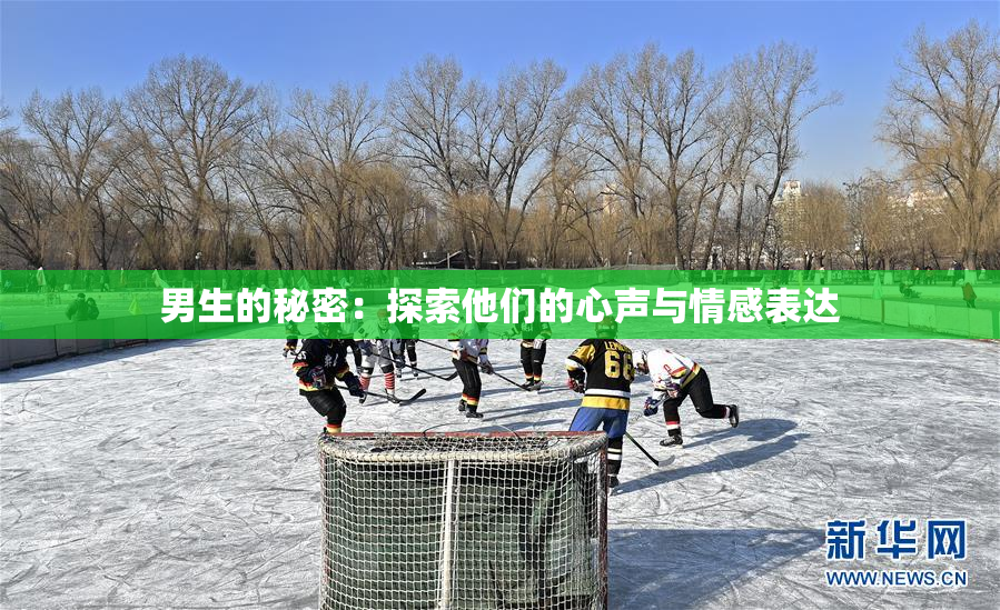 男生的秘密：探索他们的心声与情感表达