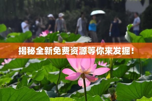 揭秘全新免费资源等你来发掘！