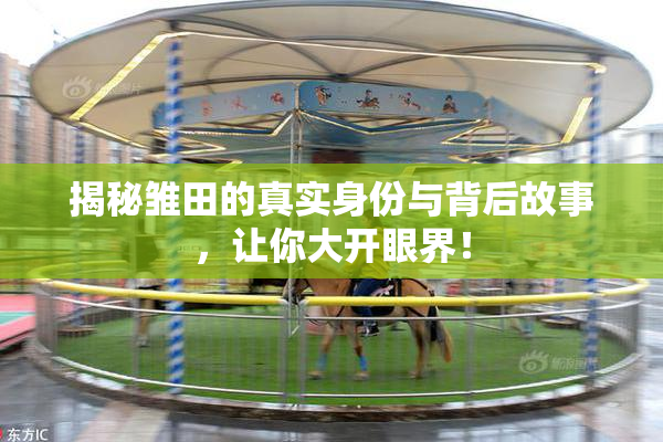 揭秘雏田的真实身份与背后故事，让你大开眼界！