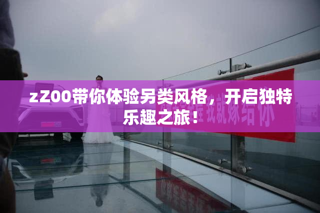 zZ00带你体验另类风格，开启独特乐趣之旅！