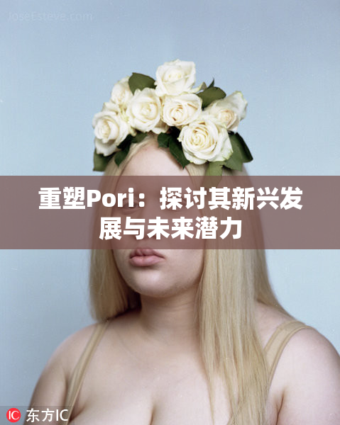 重塑Pori：探讨其新兴发展与未来潜力