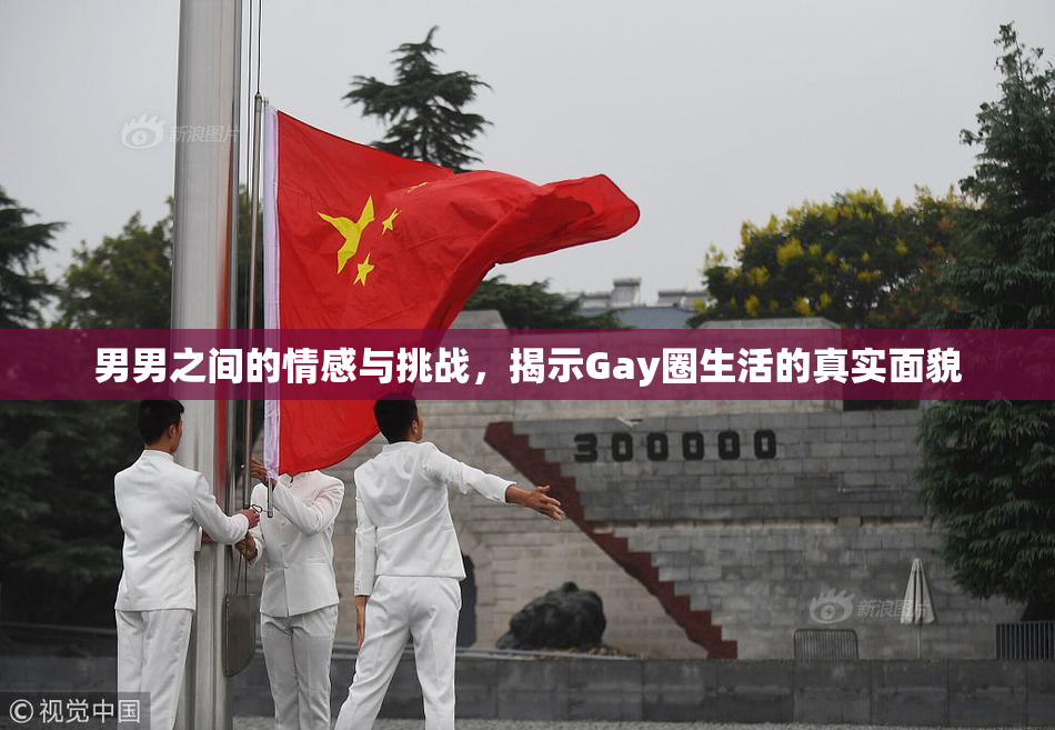 男男之间的情感与挑战，揭示Gay圈生活的真实面貌