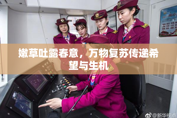 嫩草吐露春意，万物复苏传递希望与生机