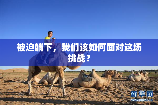 被迫躺下，我们该如何面对这场挑战？