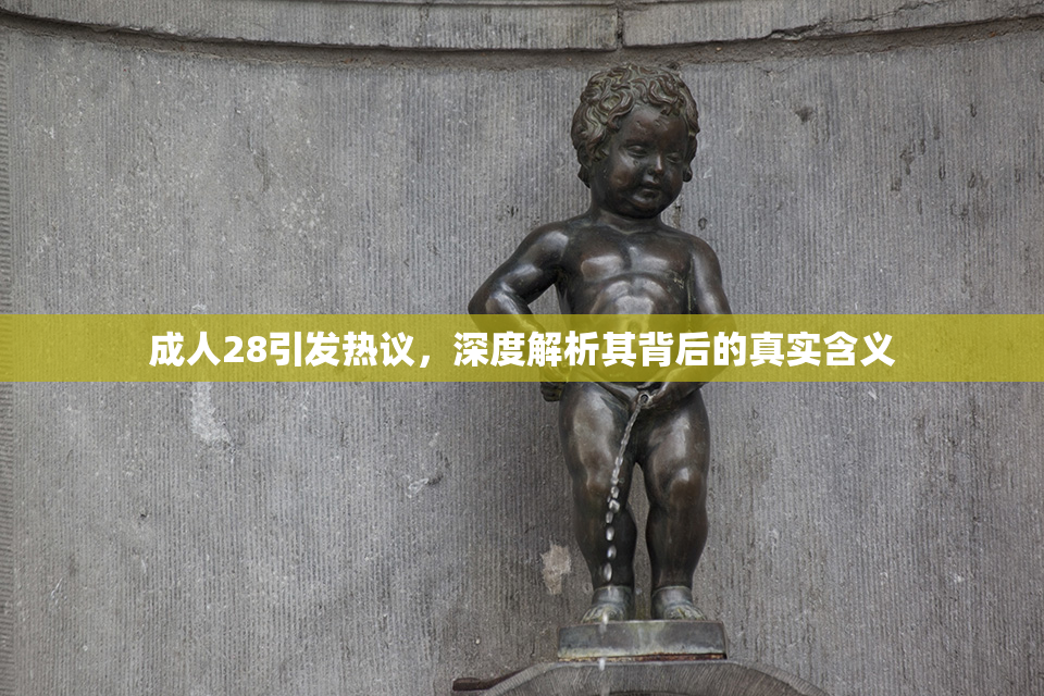 成人28引发热议，深度解析其背后的真实含义